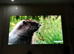 安装LED显示屏 液晶拼接屏 室内外广告大屏 条幅屏